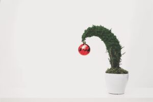 Christmas Bonsai Tree