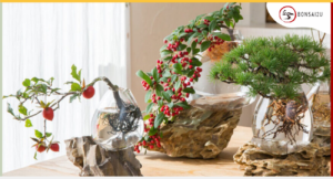 is-it-possible-to-grow-a-bonsai-tree-in-winter-bonsai2u