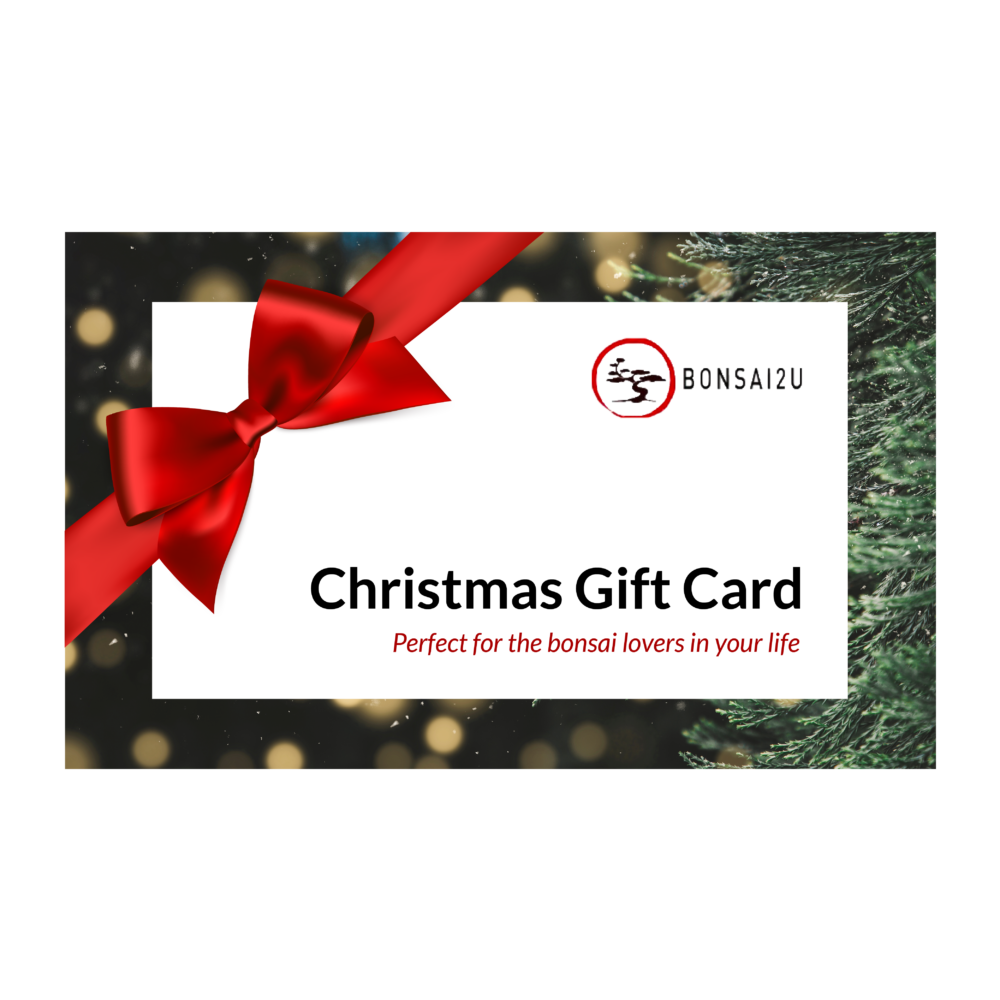 Bonsai2U Christmas Gift Card