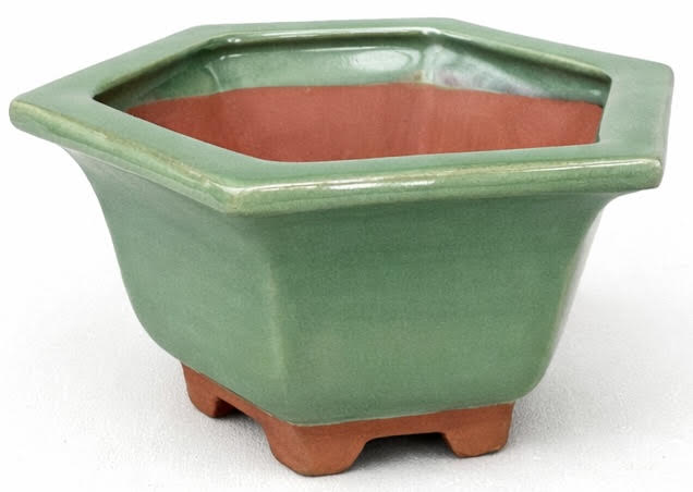 Ceramic Hexagonal Bonsai Pot Glazed - 16.5cm