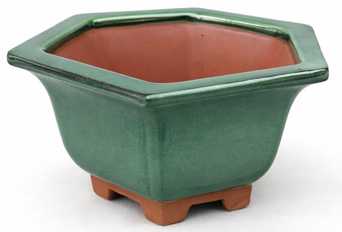 Ceramic Hexagonal Bonsai Pot Glazed - 21cm