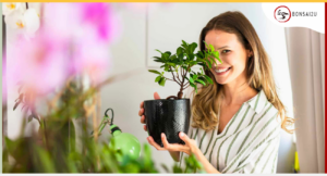 pink-bonsai-tree-bonsai2u