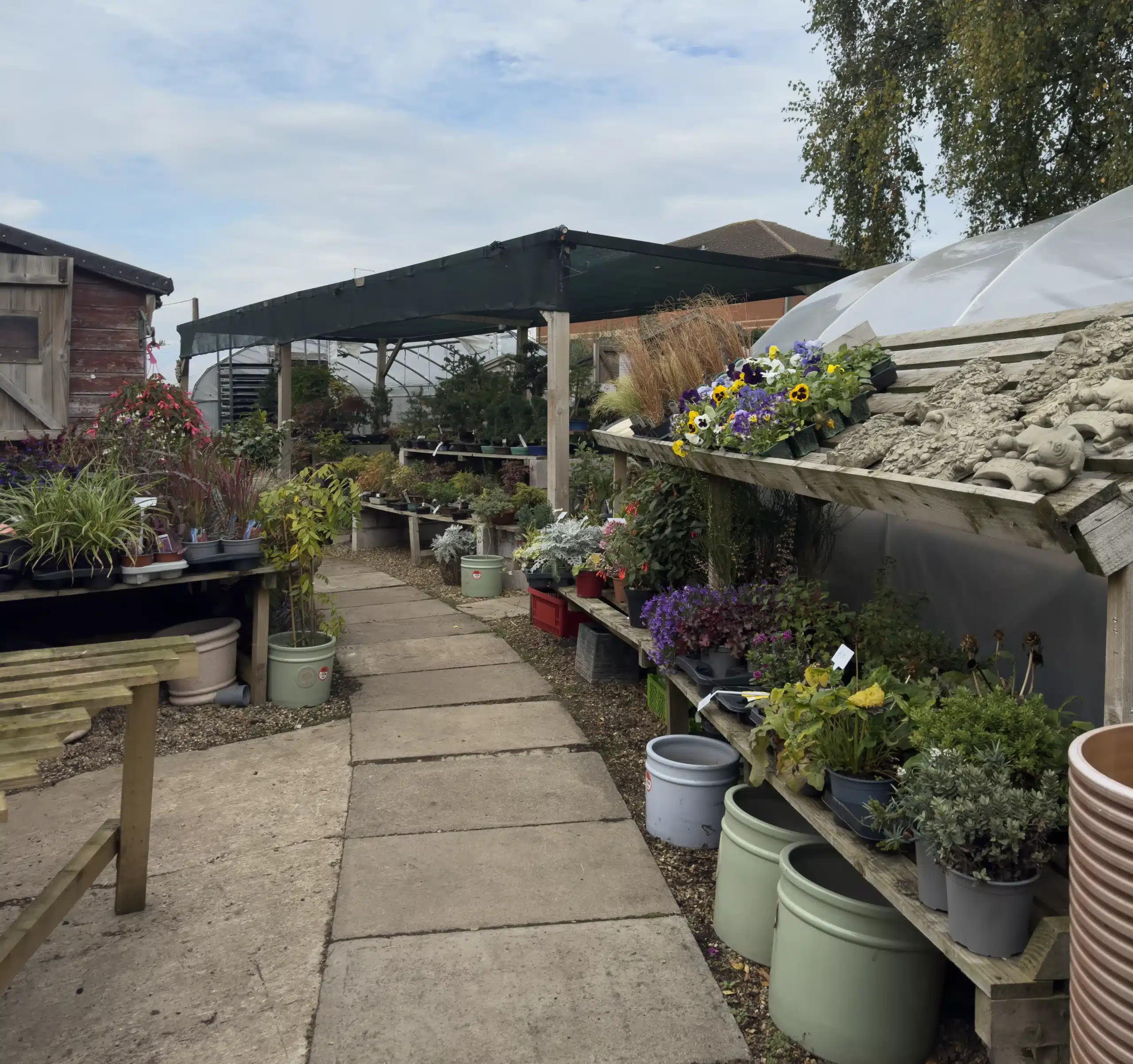 Bonsai2U Nursery