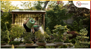 Are Bonsai Trees Hard To Care For