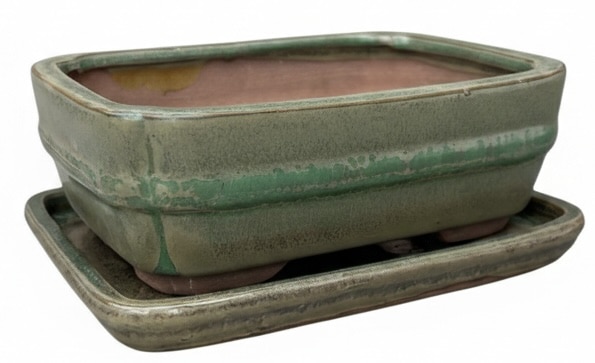 Rectangular Ceramic Bonsai Pot with Drip Tray – 15.5cm