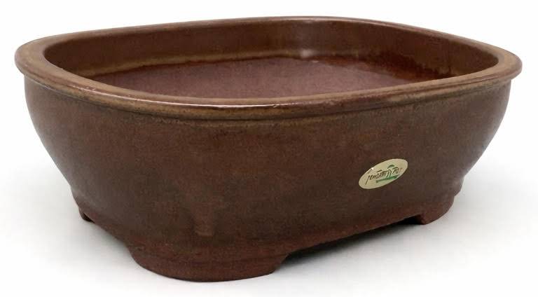 20cm Oval Tongrae Bonsai Pot