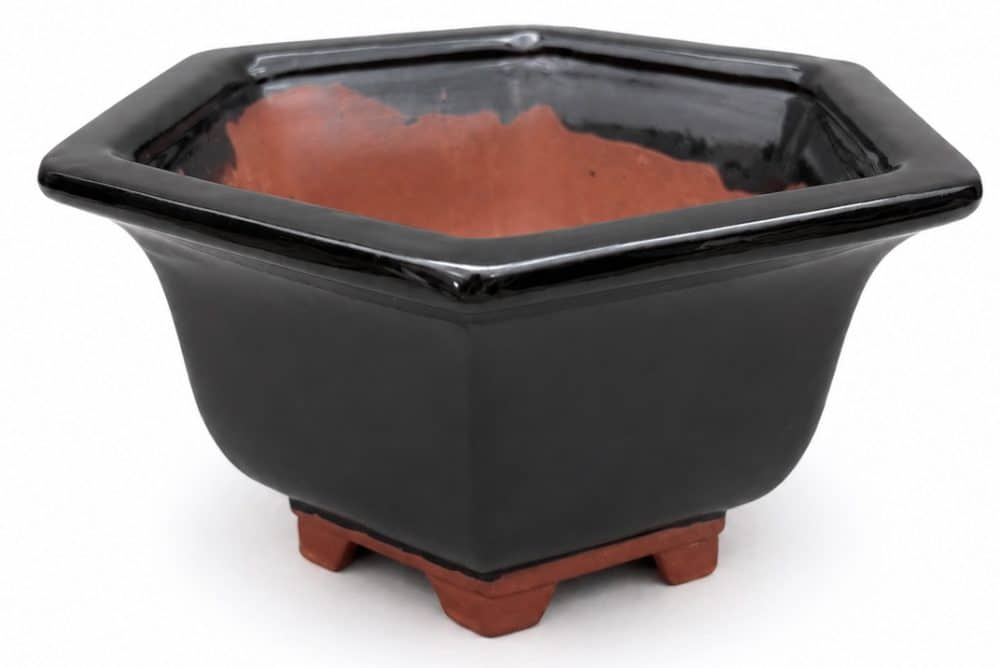Ceramic Hexagonal Bonsai Pot Glazed – 16cm