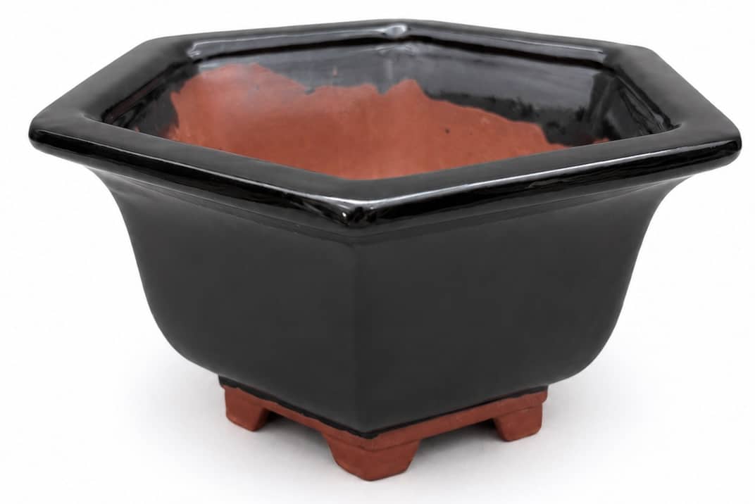 Ceramic Hexagonal Bonsai Pot Glazed – 16cm
